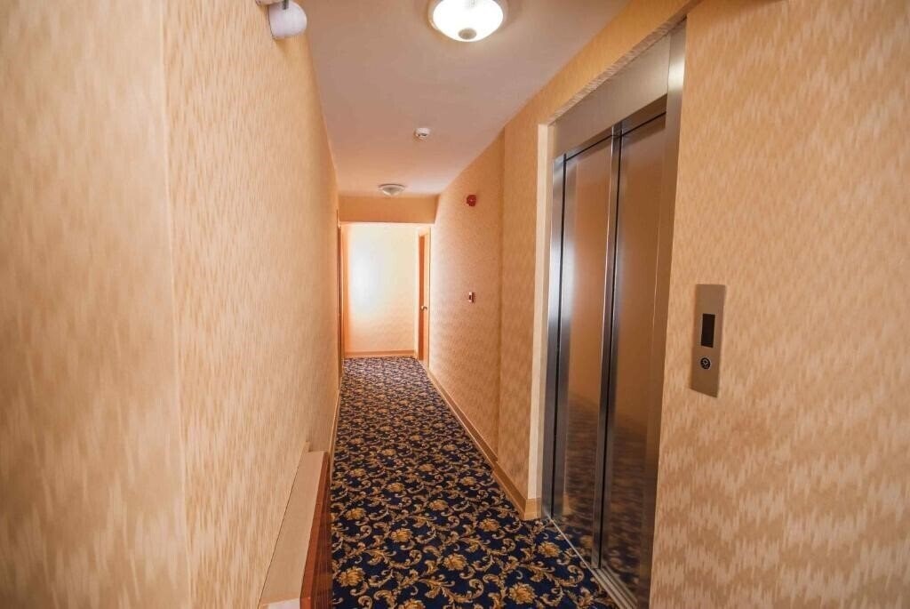 Zdjęcie Timeks Hotel 3*