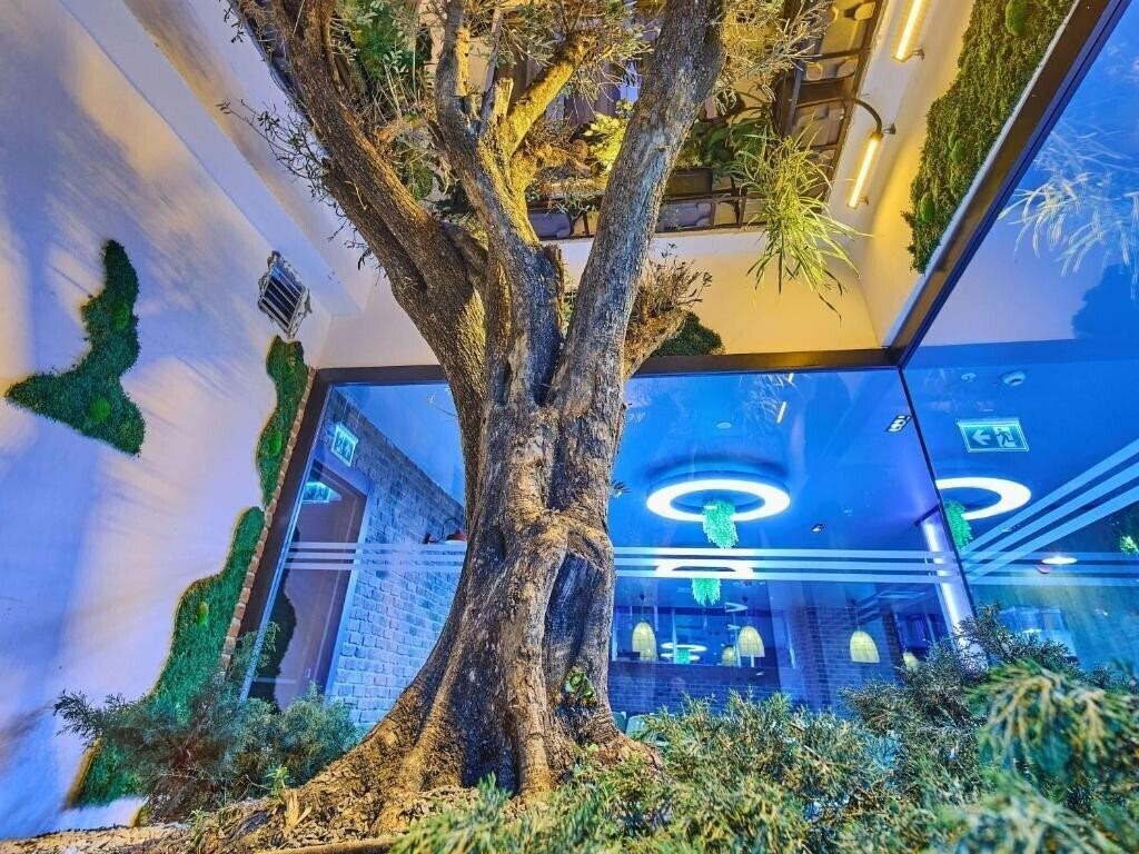 Obraz Ibis Istanbul Airport 3*