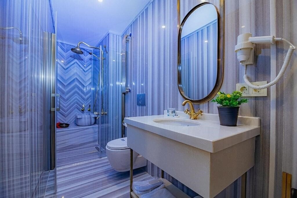 Зображення The Milltown Hotel (ex. The Milltown Sisli, Comfort Beige) 3*