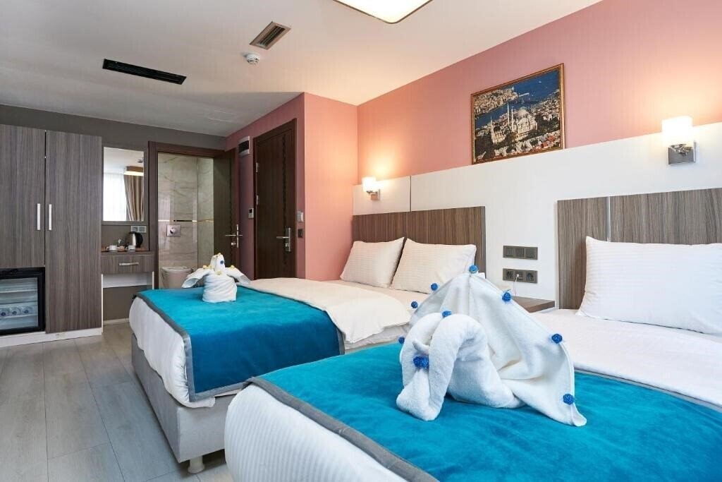 Готель Renzo Hotel (ex. Istanbul Blue Hotel Beyazit) 3*