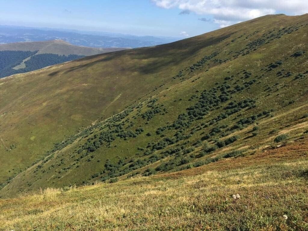 Obraz Сонячне Закарпаття Санаторій санаторий