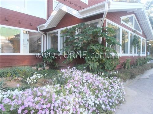 Картинка Саки санаторий