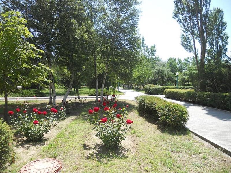 Obraz Прибой пансионат