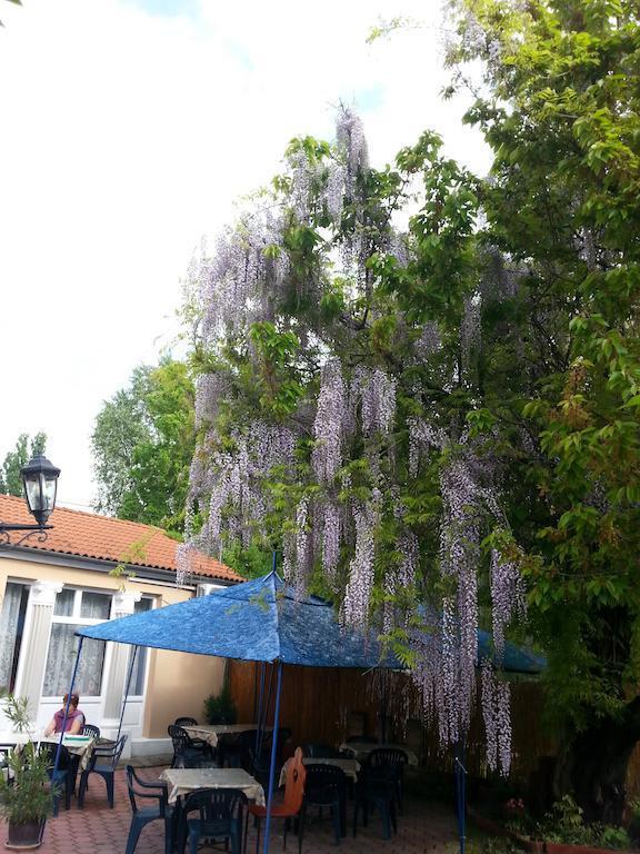 Zdjęcia Attila Hotel 3*