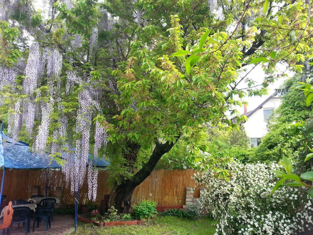 Hotel Attila Hotel 3*