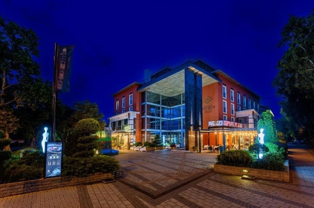 Фотография Divinus 4*