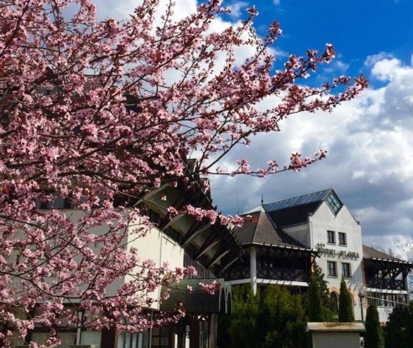 Zdjęcie Hunguest Flora 3*