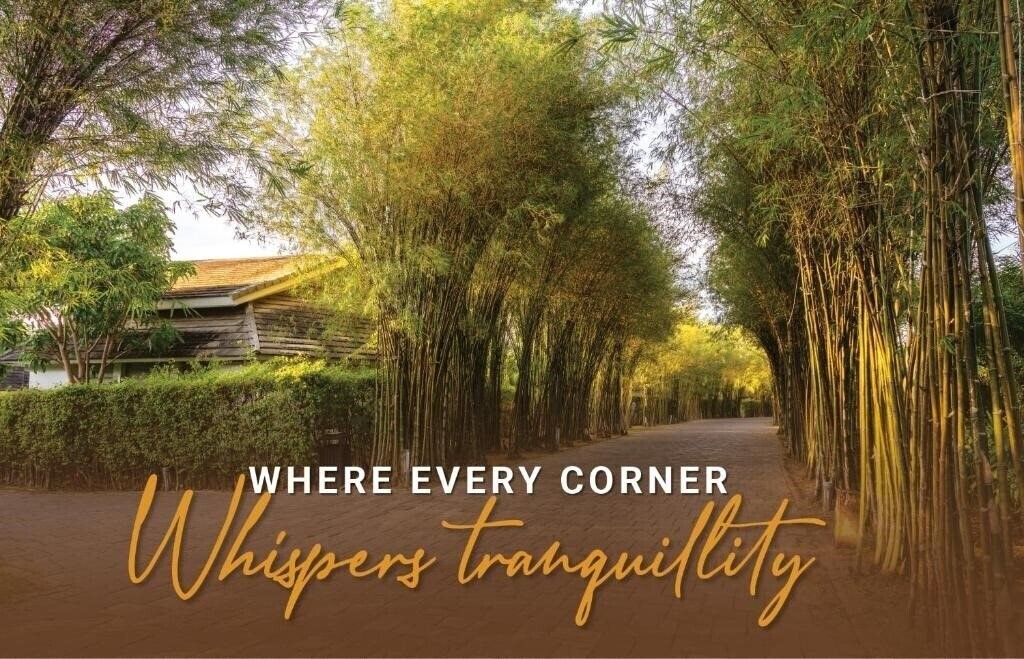 Zdjęcie Shells Resort And Spa 5*