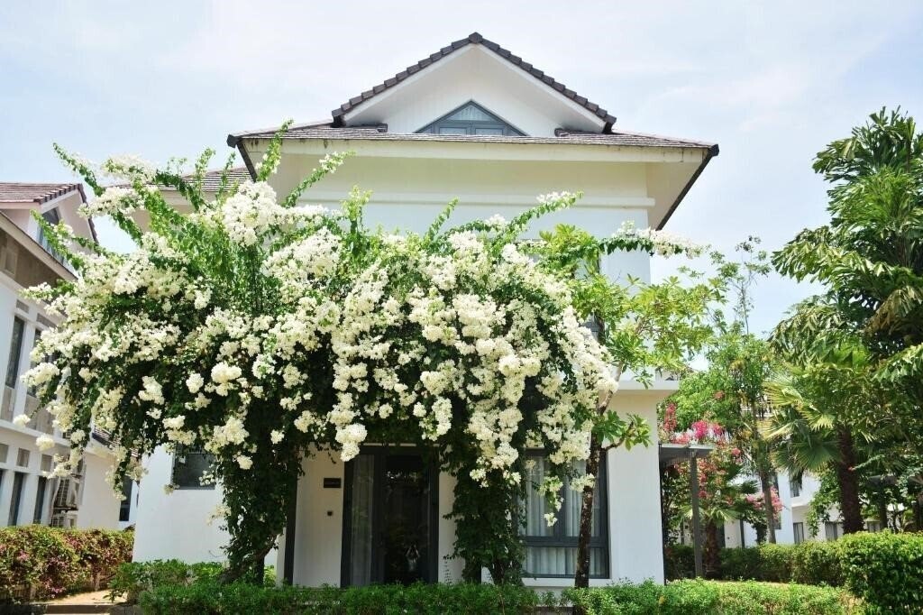 Фотографія Sunset Sanato Resort & Villas 4*