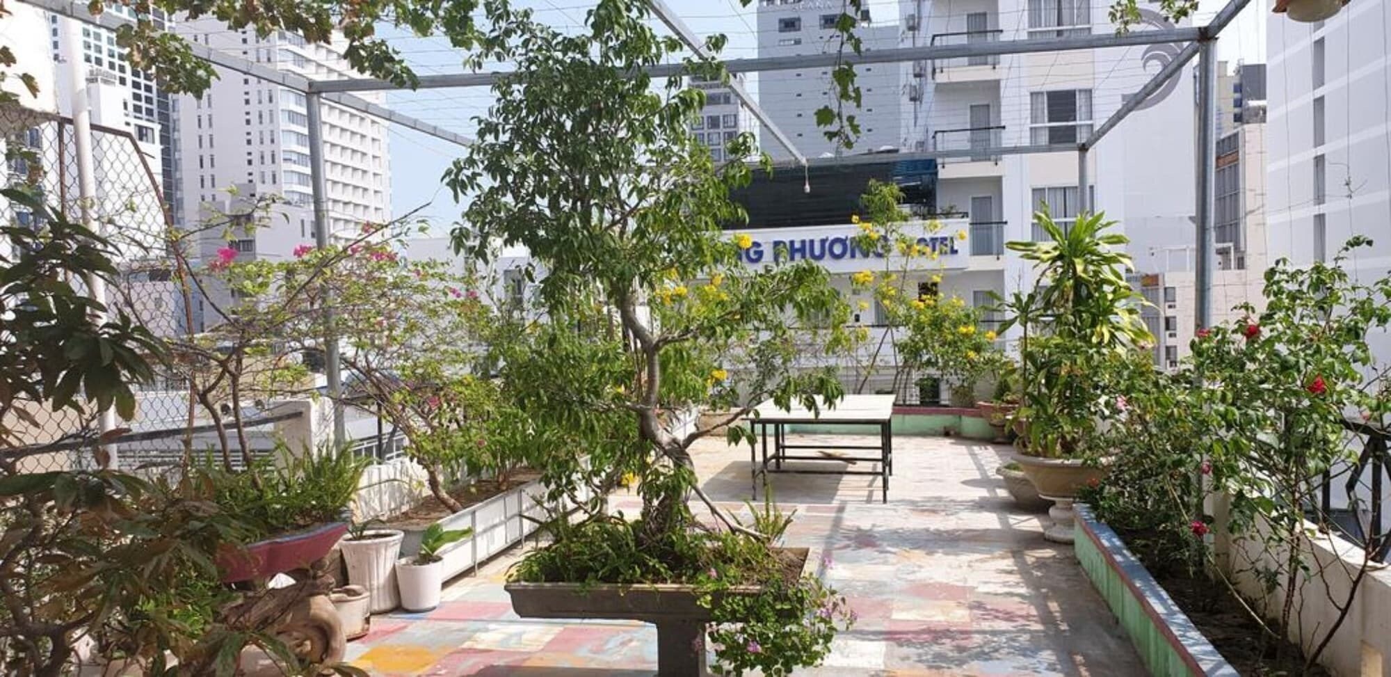 Zdjęcia Ximao Hotel Nha Trang by Zuzu 3*