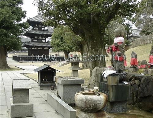 Zdjęcie Nikko Nara 3*