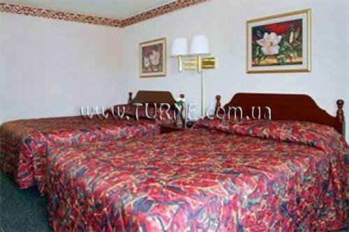 Obraz New Otani Makuhari 5*