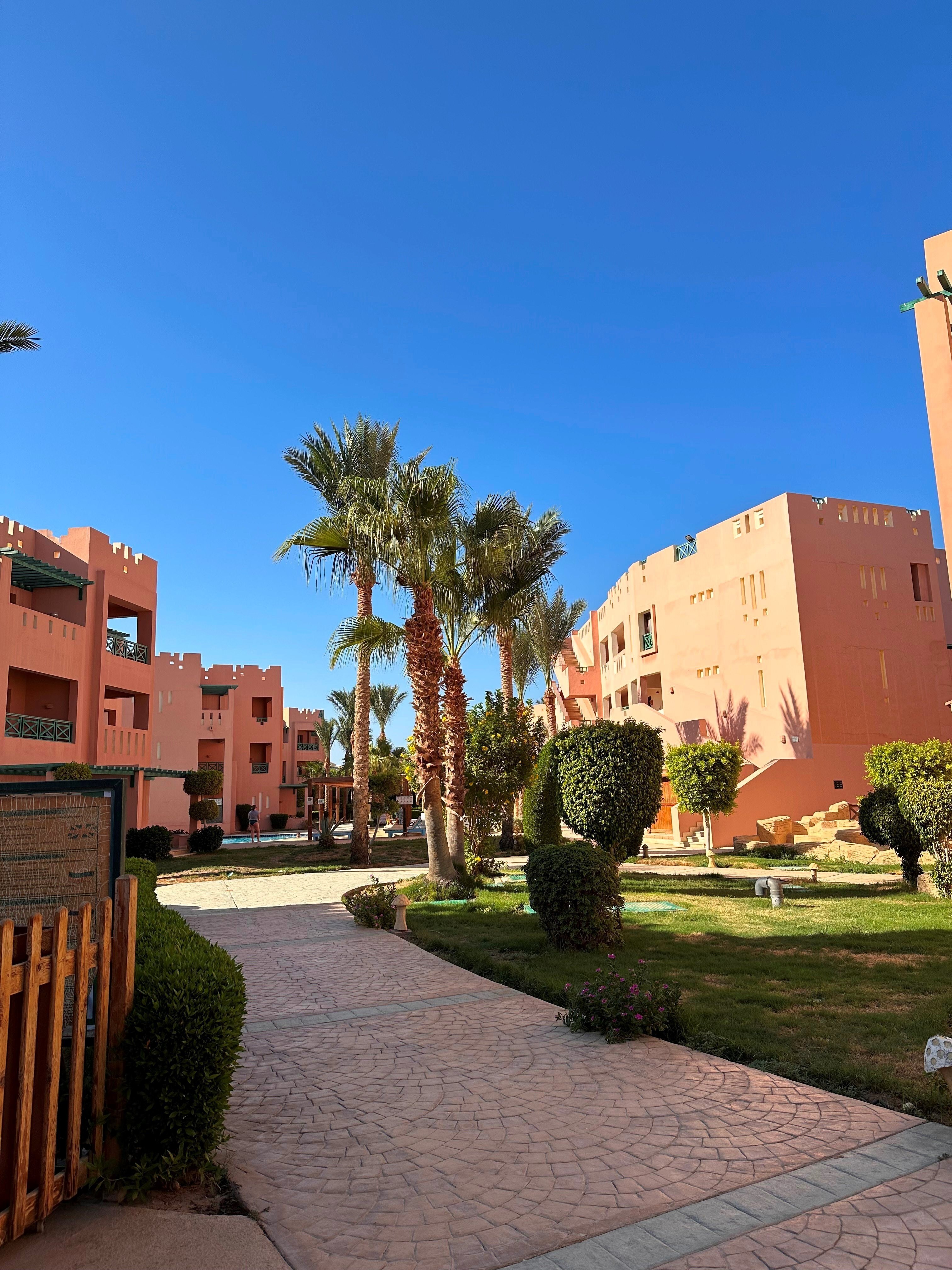 Отель Rehana Sharm Resort Шарм-эль-Шейх — туры в Rehana Sharm Resort  (Шарм-эль-Шейх, Египет): отзывы жильцов, цена, описание, фото